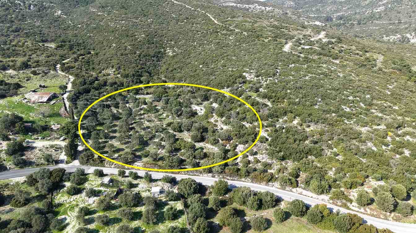 Αγροτεμάχιο με Θέα Θάλασσα κοντά στη Χώρα Σάμου | SH578 - photo 30