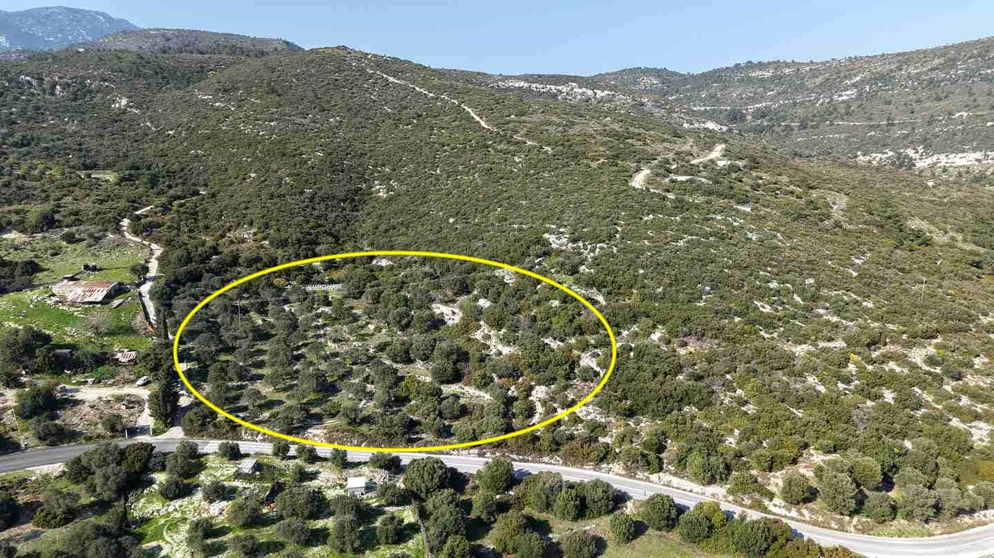 Αγροτεμάχιο με Θέα Θάλασσα κοντά στη Χώρα Σάμου | SH578 - photo 31