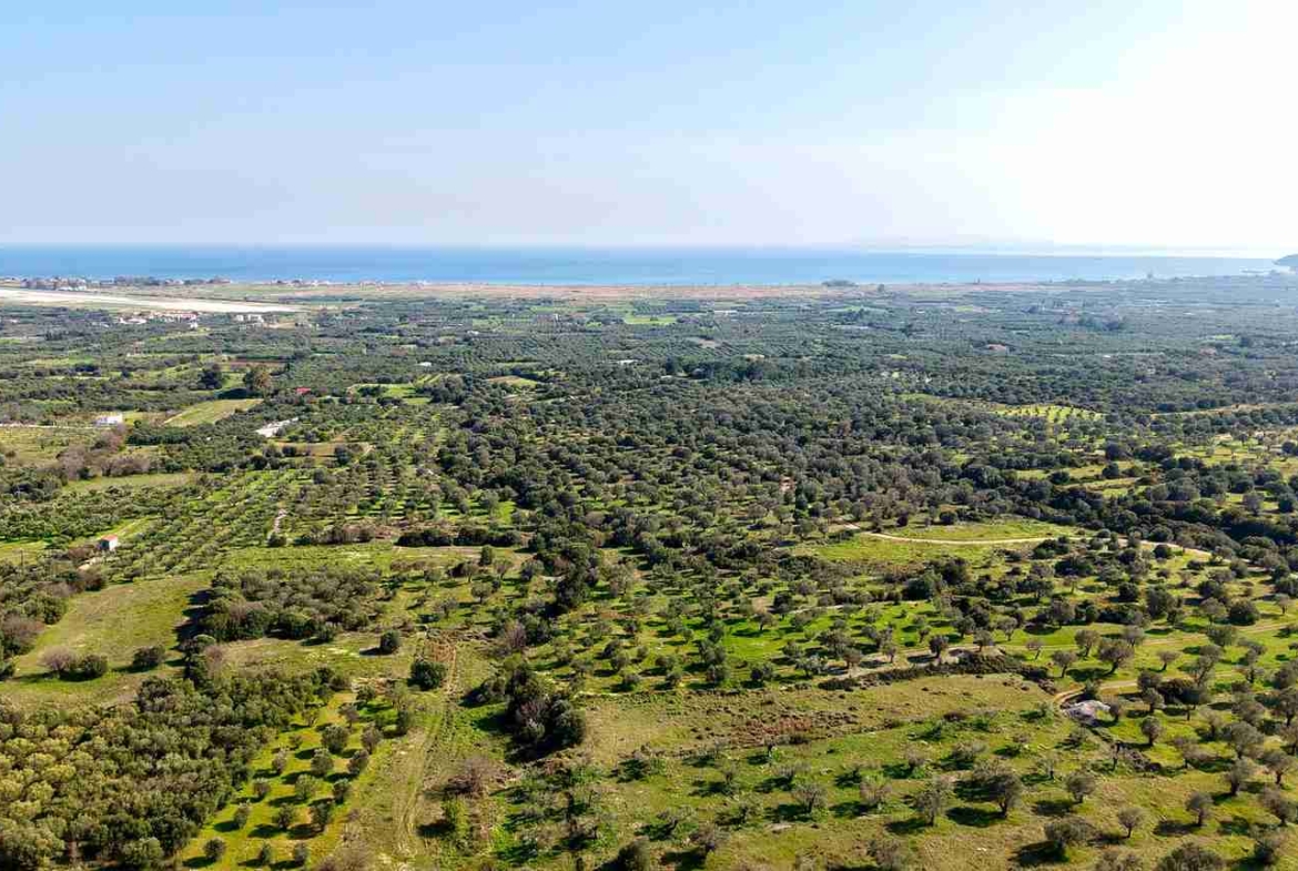 Αγροτεμάχιο με Θέα Θάλασσα κοντά στη Χώρα Σάμου | SH578 - photo 34