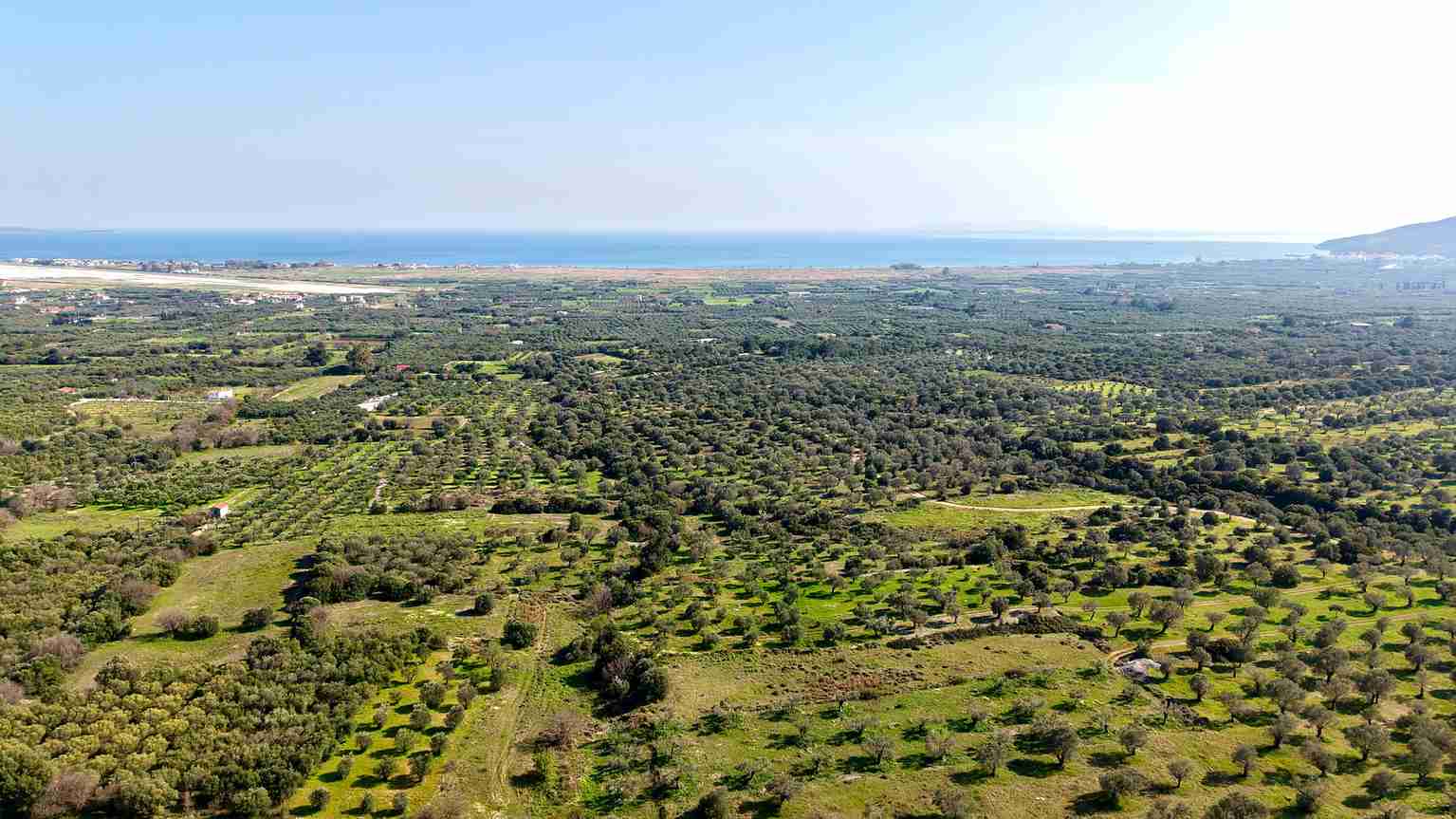 Αγροτεμάχιο με Θέα Θάλασσα κοντά στη Χώρα Σάμου | SH578 - photo 34