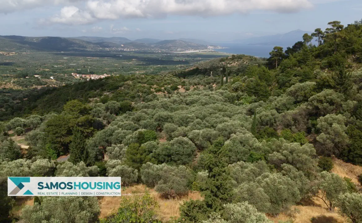 Building Plot for Sale in Samos – 4,781 m² near Pagondas (SH586)