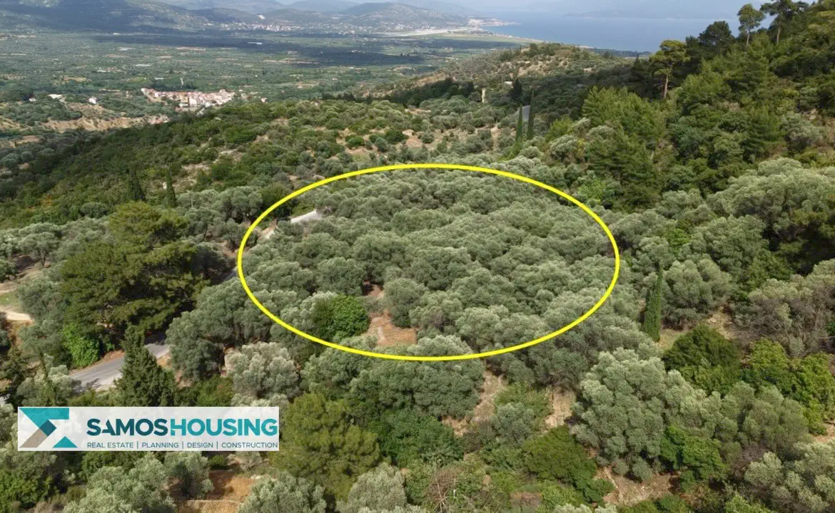 Building Plot for Sale in Samos – 4,781 m² near Pagondas (SH586)