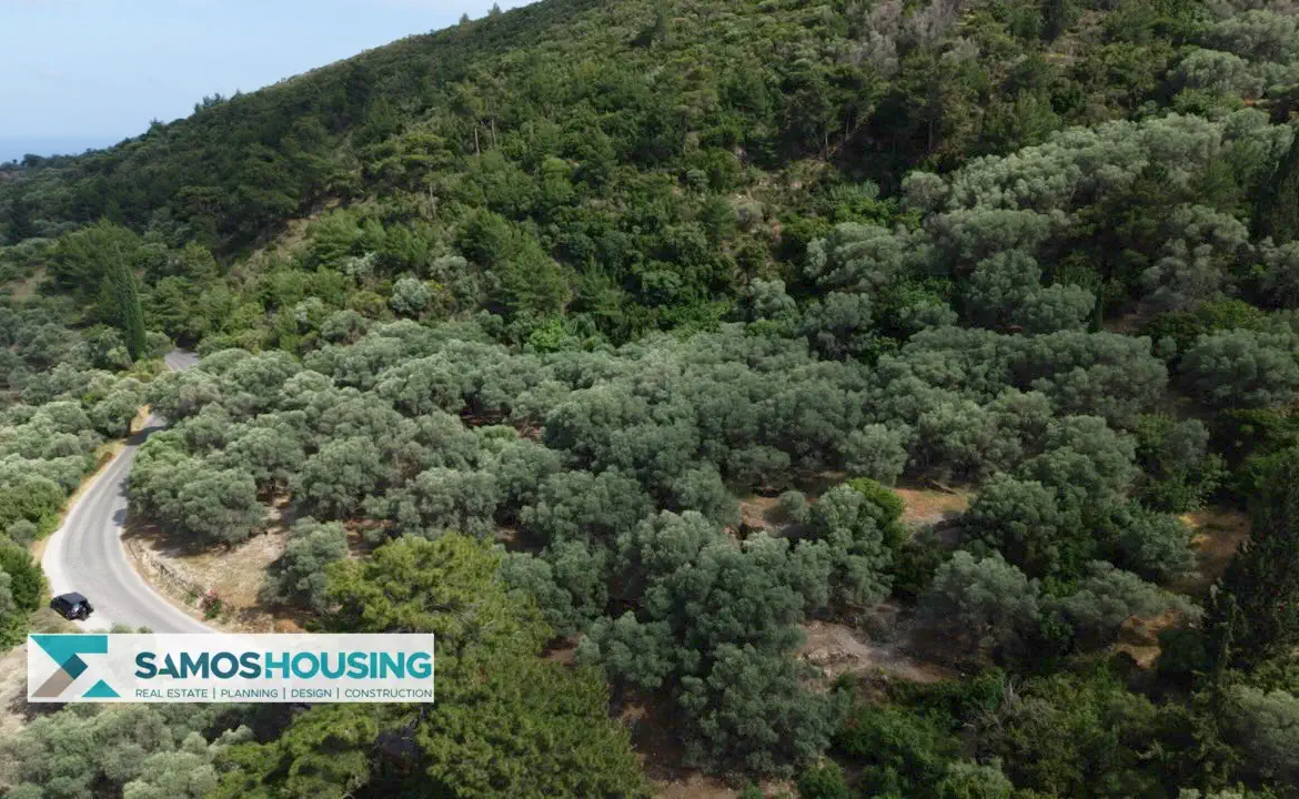 Building Plot for Sale in Samos – 4,781 m² near Pagondas (SH586)