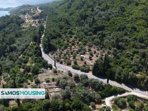 Οικόπεδο προς Πώληση στον Κέδρο Σάμου · Εικ. 13