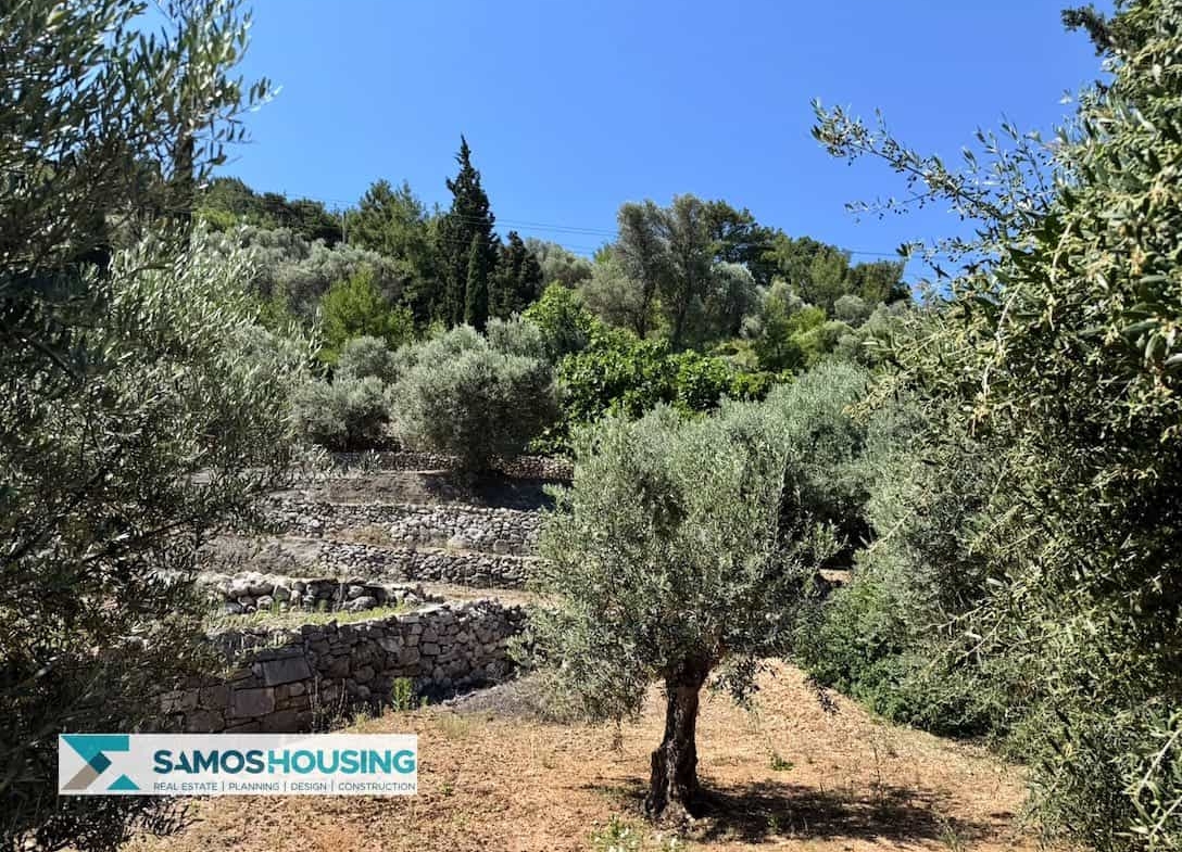 Οικόπεδο προς Πώληση στον Κέδρο Σάμου – 9.695 τ.μ. (SH584)