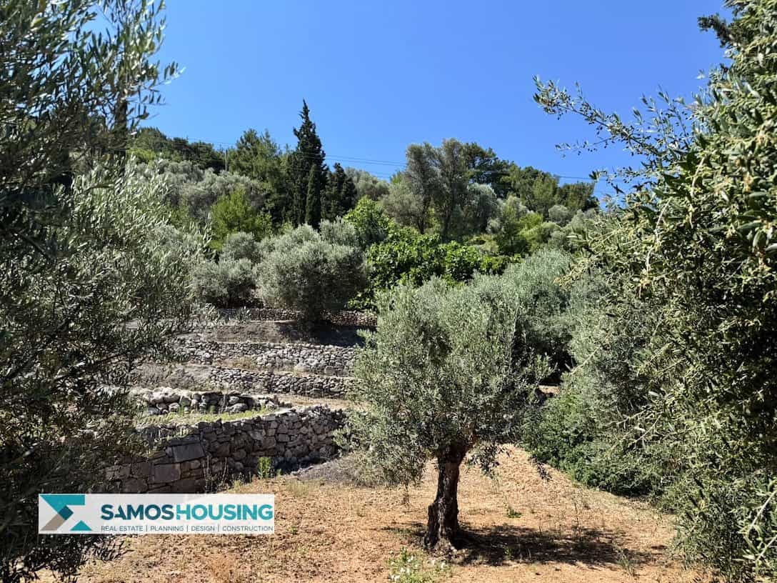 IMG_5101-imp Οικόπεδο προς Πώληση στον Κέδρο Σάμου – 9.695 τ.μ. (SH584)