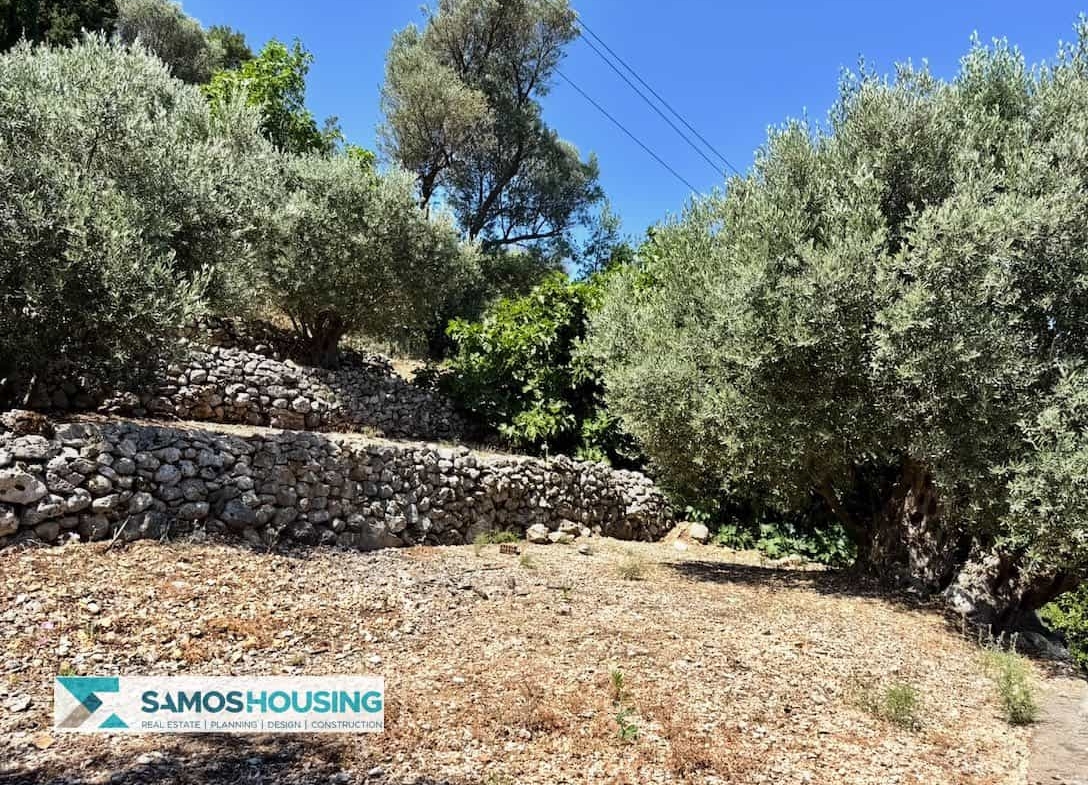 Οικόπεδο προς Πώληση στον Κέδρο Σάμου – 9.695 τ.μ. (SH584)