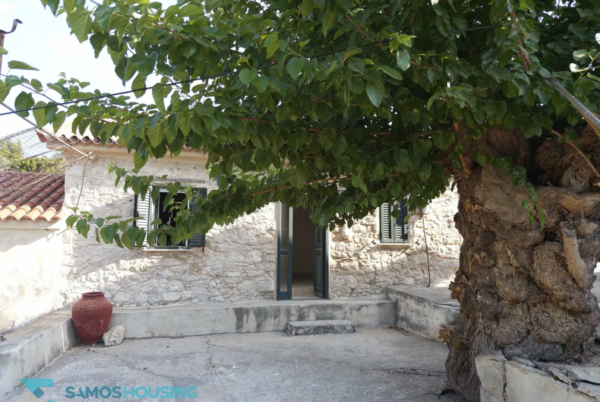 Beachfront Plot for Sale in Samos – 2,780m² at Agia Markela Beach (SH585)