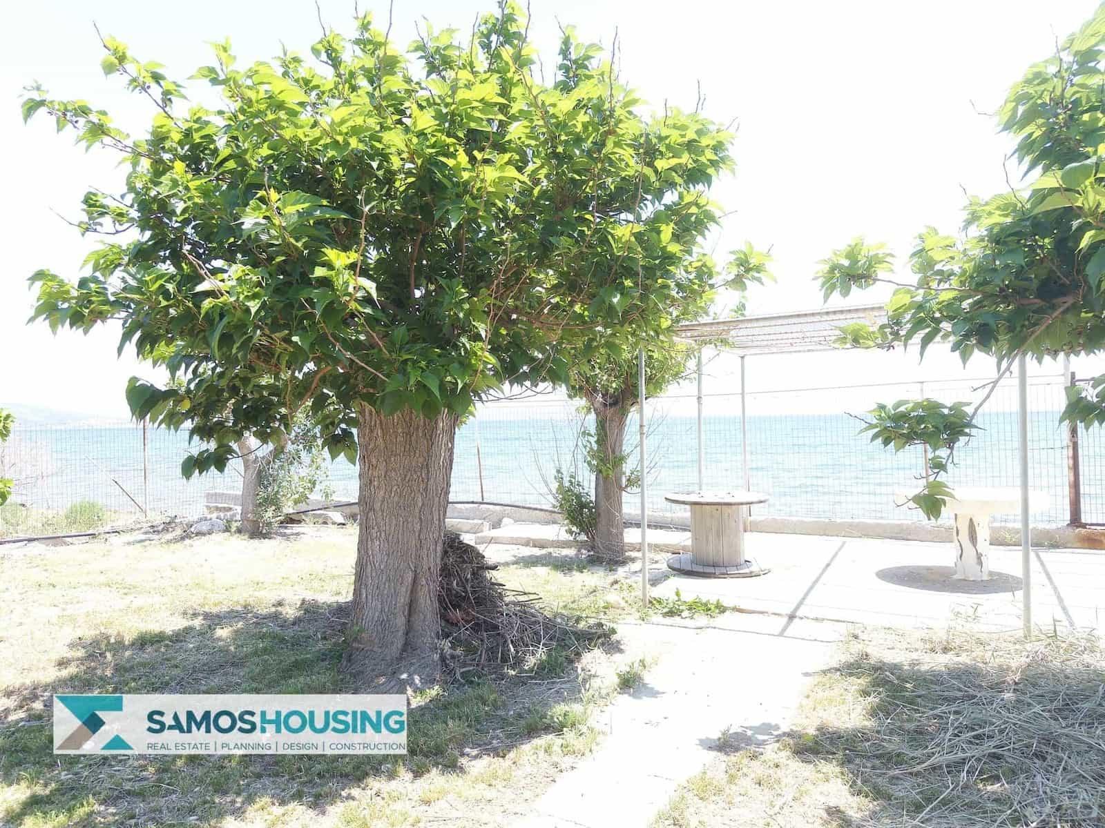 Παραθαλάσσια Κατοικία στο Ηραίο, Σάμος – Παραλία Ποτοκάκι | SH582 – photo 9 Παραθαλάσσια Κατοικία στο Ηραίο, Σάμος – Παραλία Ποτοκάκι | SH582 - photo 9