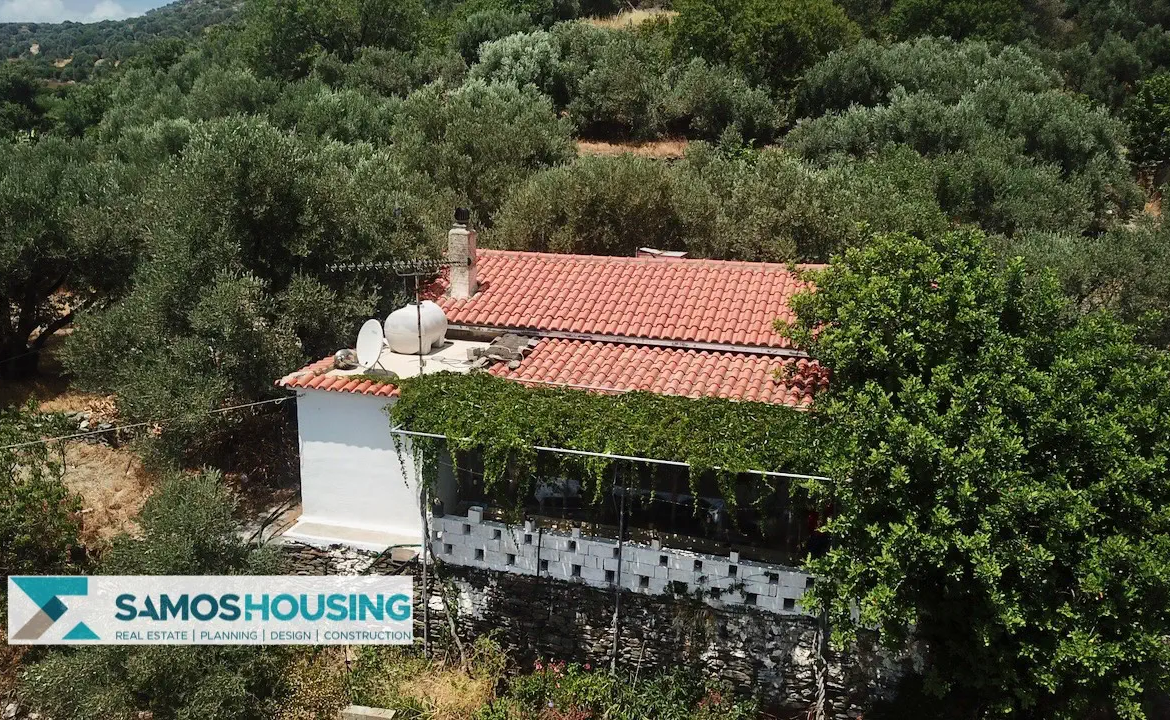 Απομονωμένη Εξοχική Κατοικία με Θέα στη Σάμο – 20.380 τ.μ. κοντά στους Σπαθαραίους (SH588)