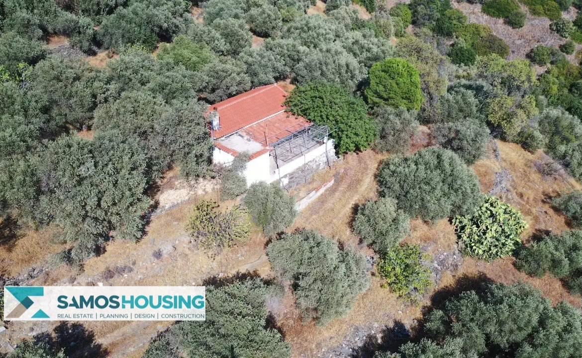 Απομονωμένη Εξοχική Κατοικία με Θέα στη Σάμο – 20.380 τ.μ. κοντά στους Σπαθαραίους (SH588)