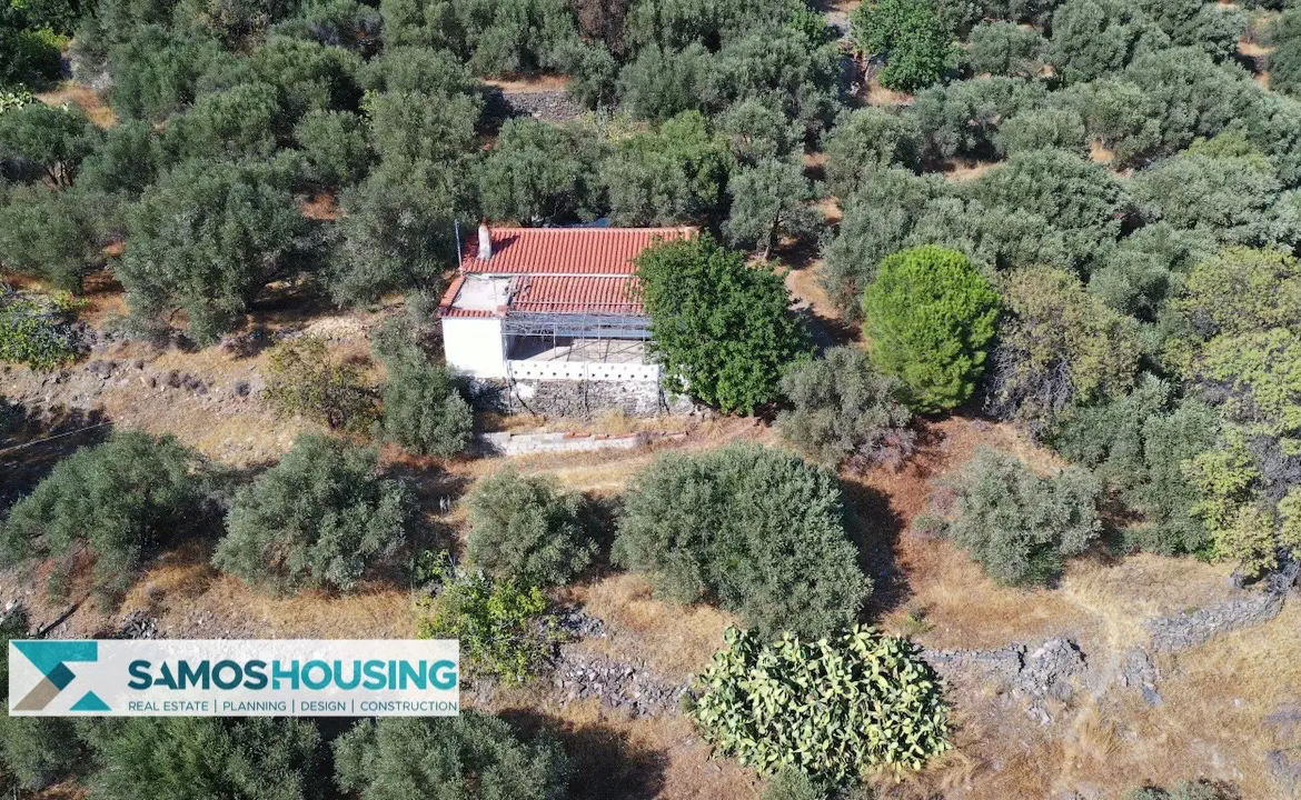 Απομονωμένη Εξοχική Κατοικία με Θέα στη Σάμο – 20.380 τ.μ. κοντά στους Σπαθαραίους (SH588)