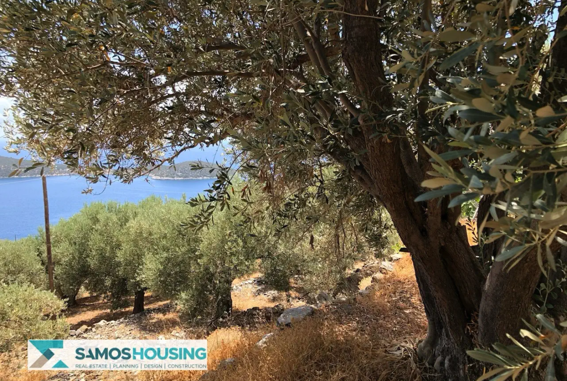 Απομονωμένη Εξοχική Κατοικία με Θέα στη Σάμο – 20.380 τ.μ. κοντά στους Σπαθαραίους (SH588)