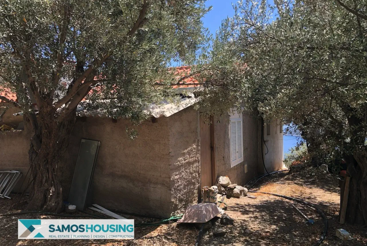 Απομονωμένη Εξοχική Κατοικία με Θέα στη Σάμο – 20.380 τ.μ. κοντά στους Σπαθαραίους (SH588)