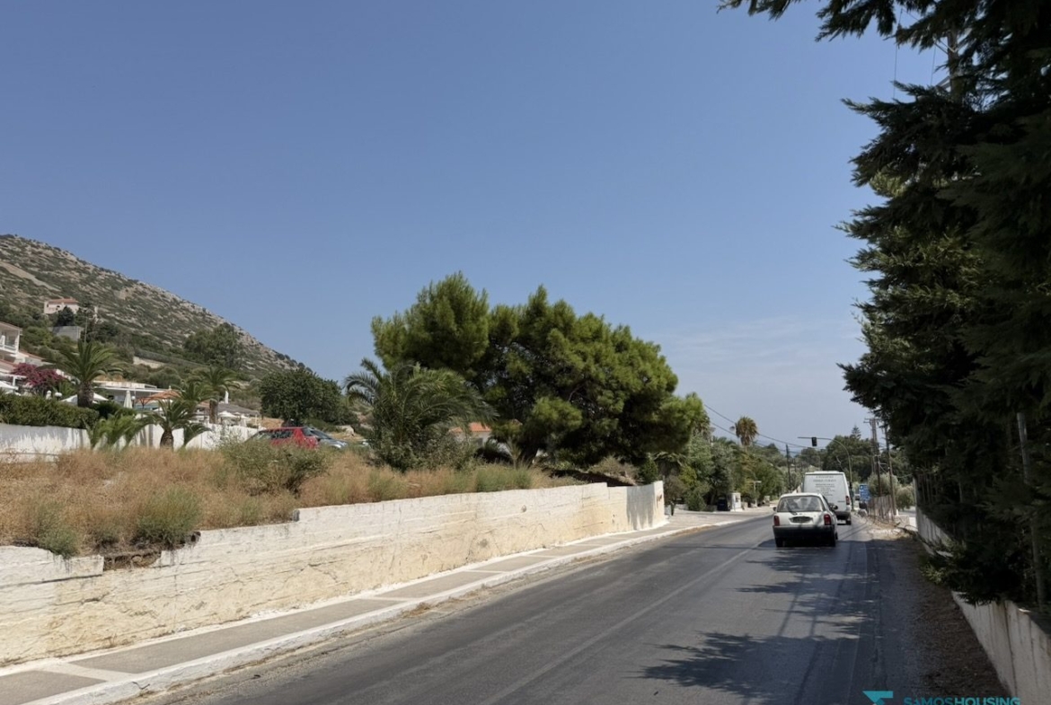 Tree cover at the southern corner of the land, Pythagorio Samos