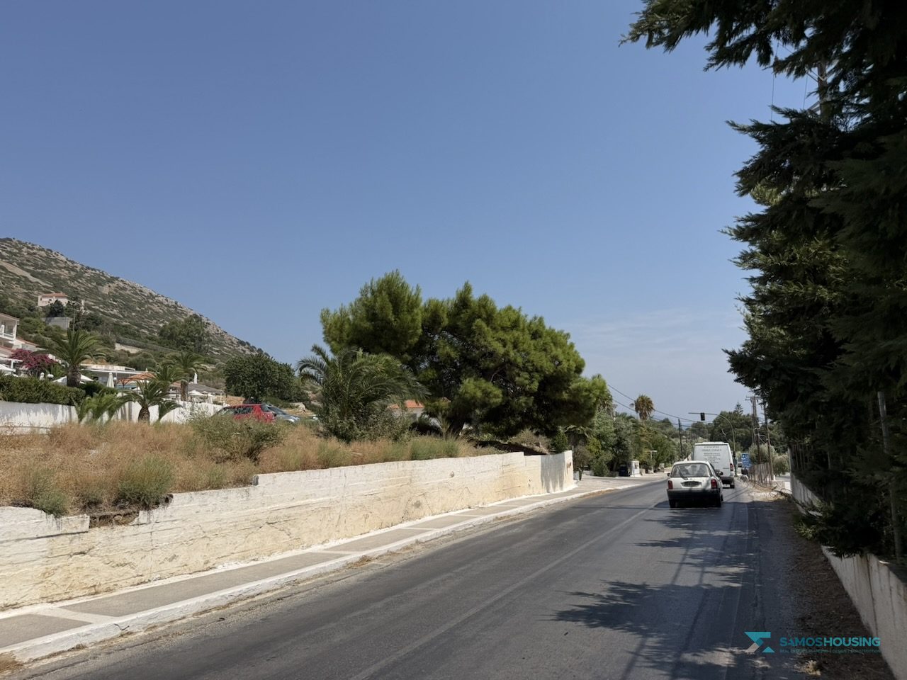 SH591 Land Pythagorio Samos 17 Tree cover at the southern corner of the land, Pythagorio Samos
