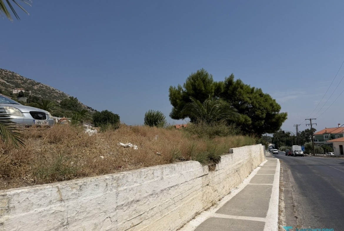 Vegetation on the upper part of the land parcel, Nea Poli Samos