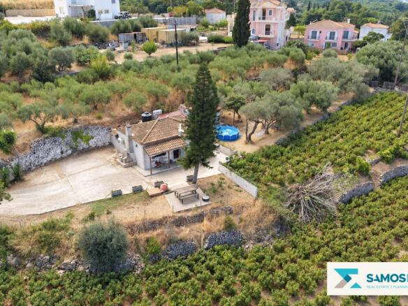 House and cultivated garden from above