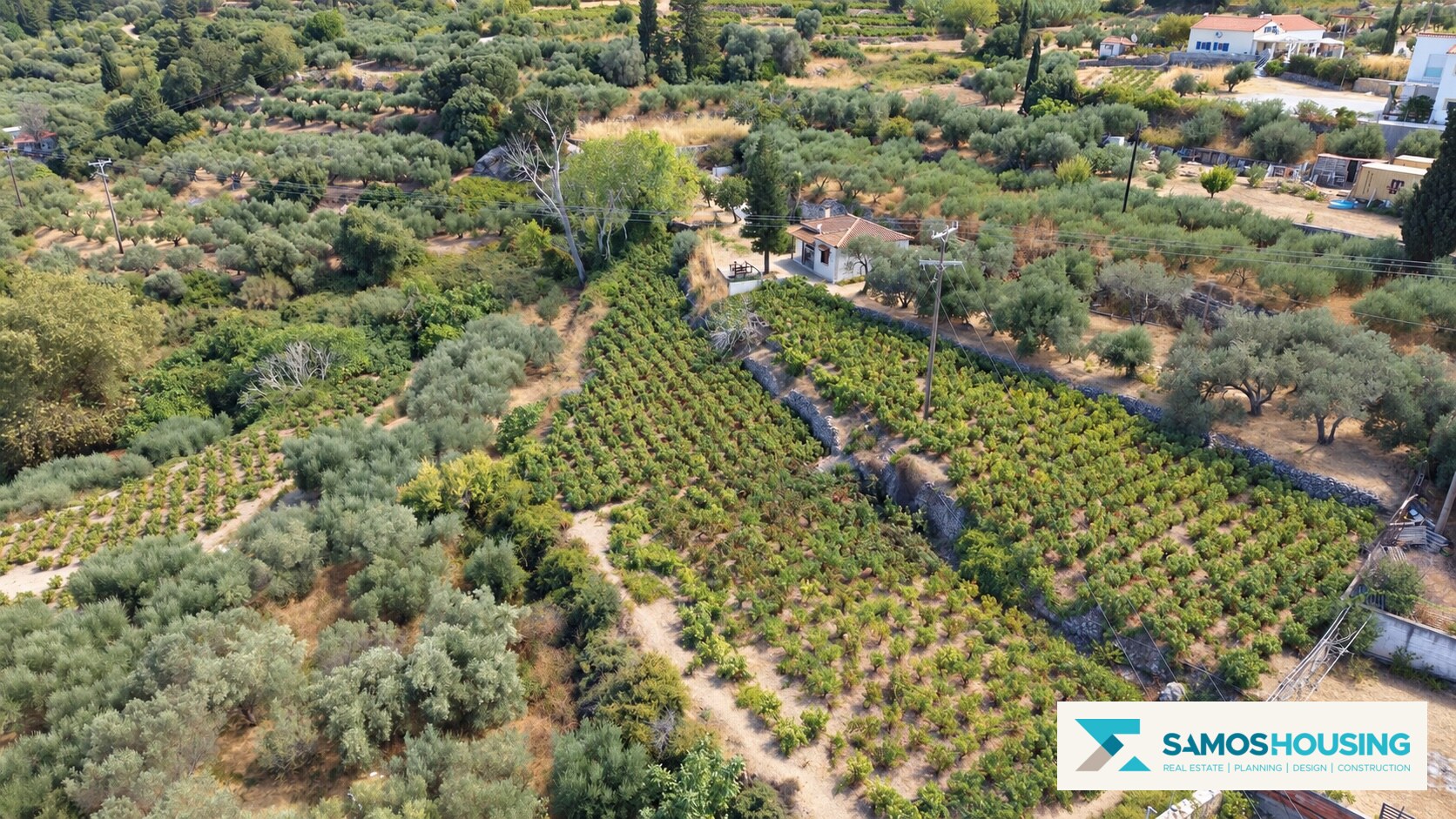 Cultivated land viewed from the drone