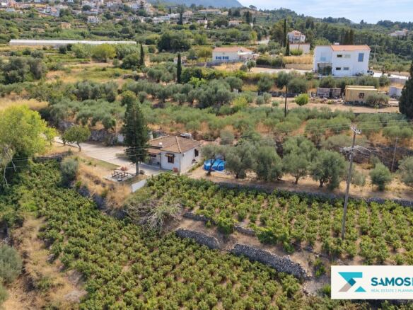 Green surroundings of the property
