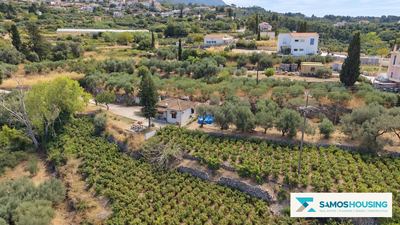 Green surroundings of the property