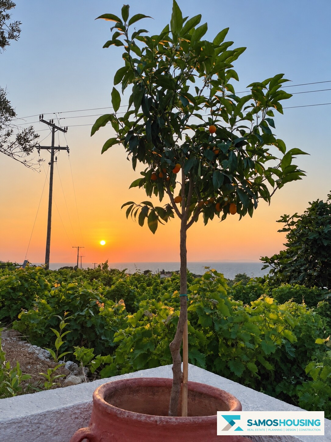 Sunset photographed from the outdoor space