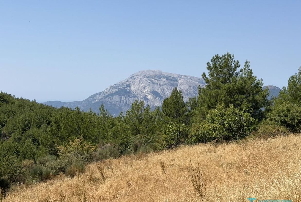 Land for sale in Pyrgos Samos with view of Mount Kerkis
