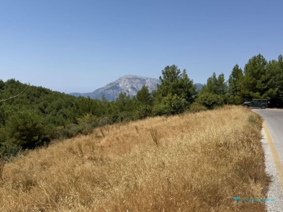 Kerkis mountain beyond pine trees from building plot near Spatharaioi, Samos