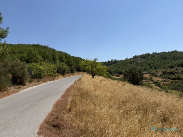 Asphalt municipal road Pyrgos–Spatharaioi along the plot, Samos