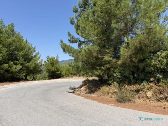 Bend of the Pyrgos–Spatharaioi road beside the plot, Samos