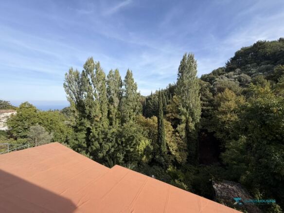 Sea view over poplar trees from the cottage roof, Stavrinides, Samos