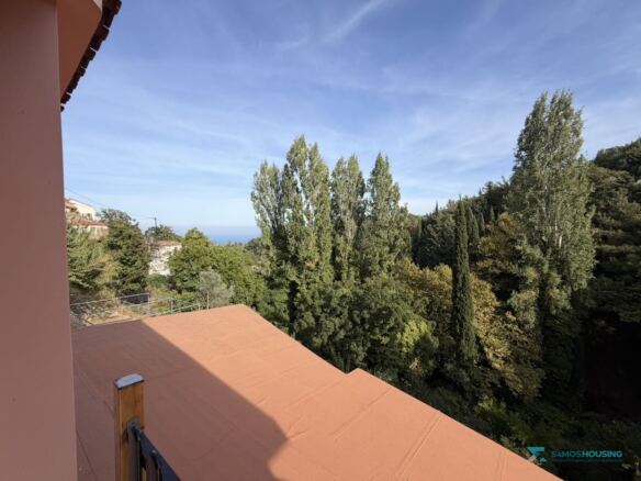 Roof-level view to the poplars and sea, Stavrinides, Samos