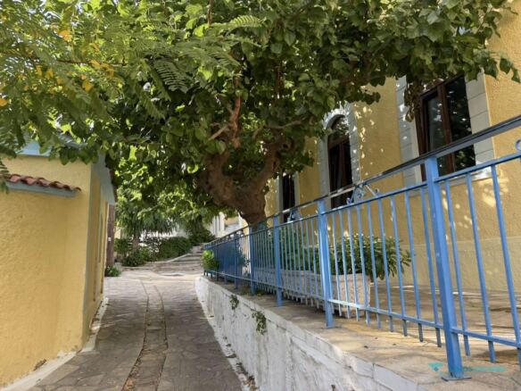 Cobbled lane under a plane tree in Stavrinides village, Samos