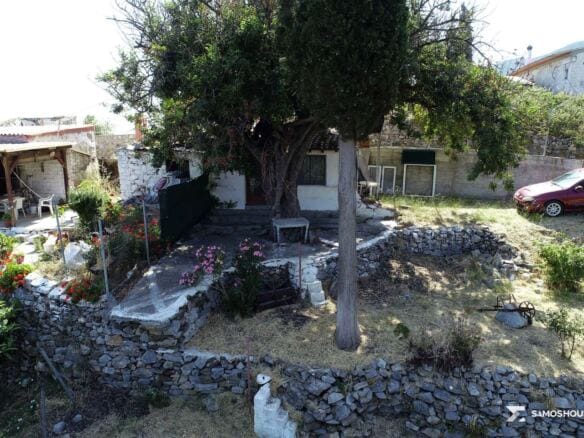 Single-storey stone building under a mature olive tree