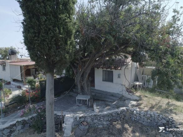 Stone building, olive tree and dry-stone terrace walls on the plot