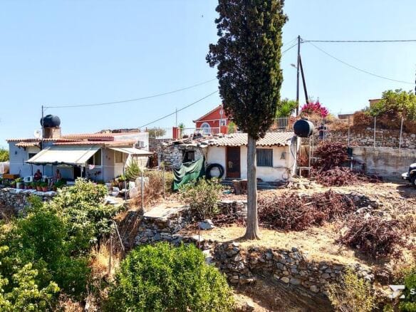 Stone building and cypress at road level, Agia Paraskevi Samos