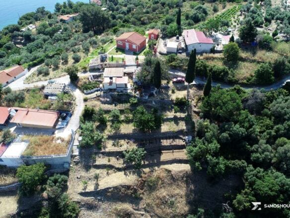 The plot seen from the west with the village houses above