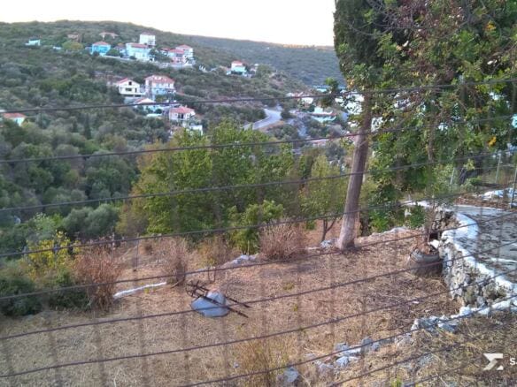 Terraced land inside the plot with olive trees